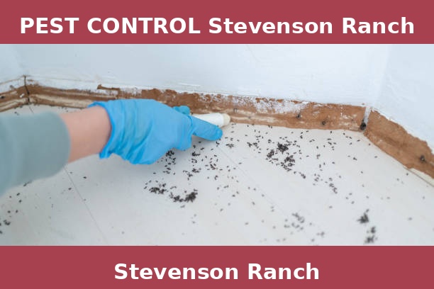 PEST CONTROL Stevenson Ranch